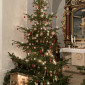 Der alljährlich geschmückte Weihnachtsbaum 